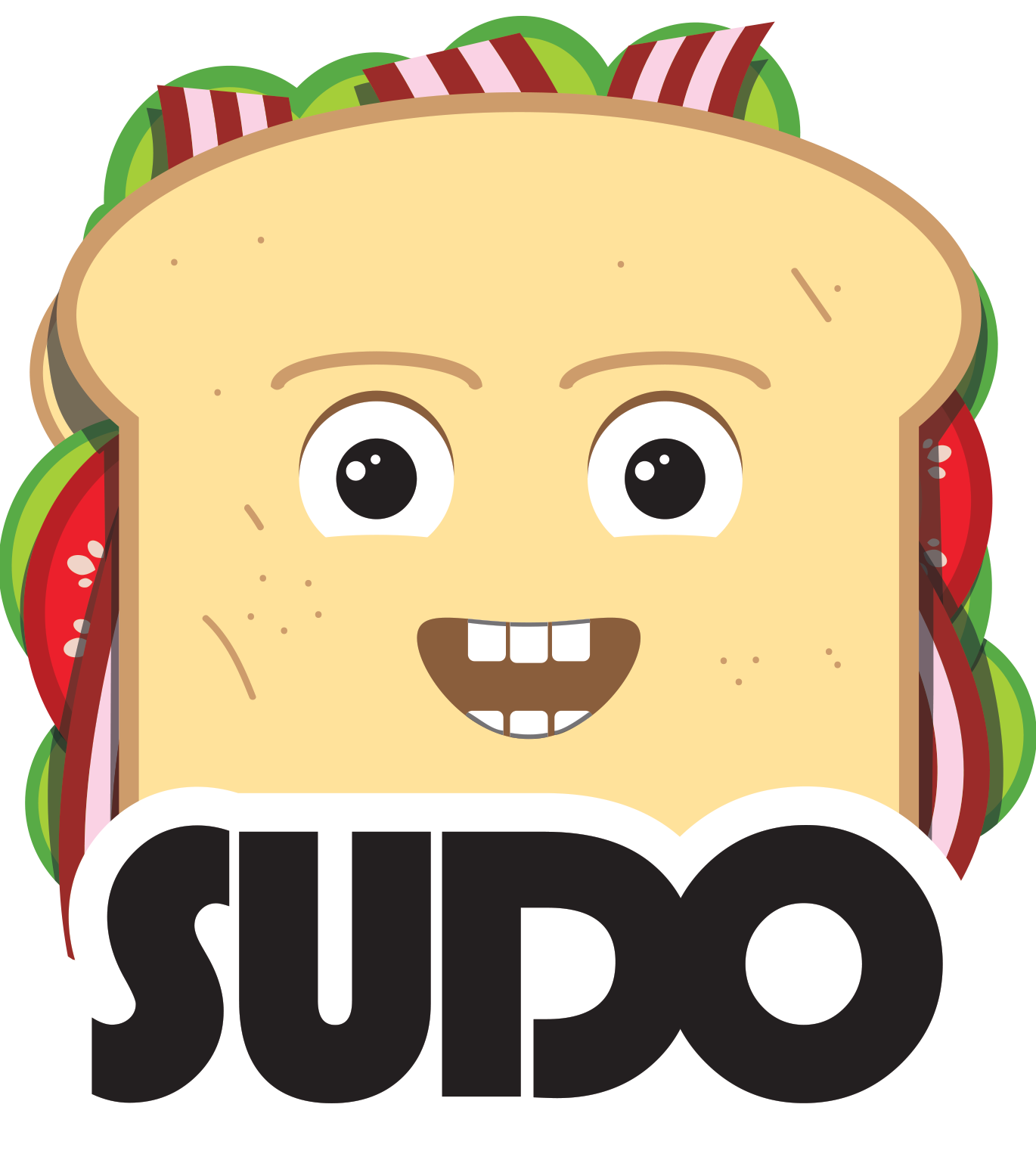 sudo